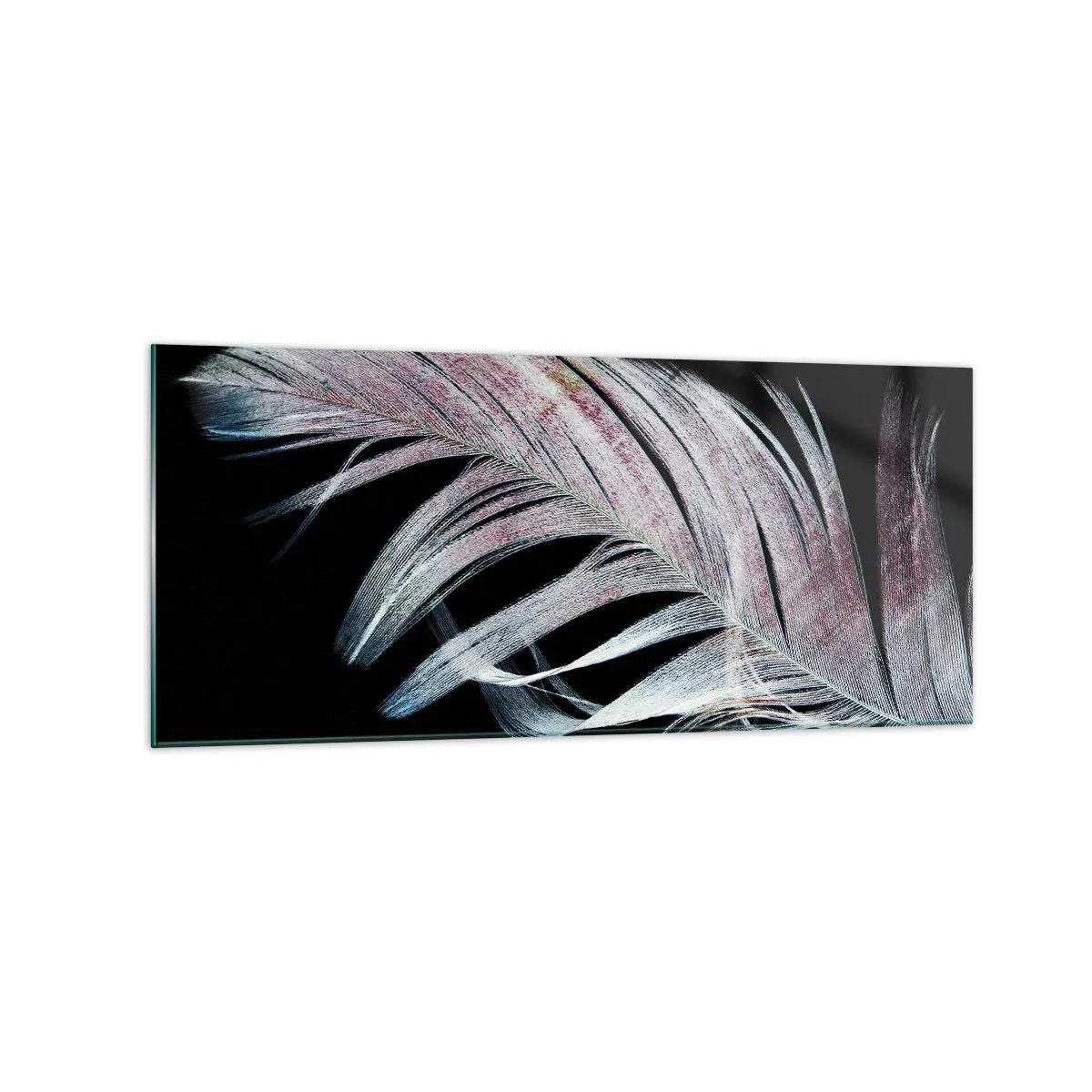 Glasbild - Bild auf glas - Eine zarte Feder auf schwarzem Hintergrund in einem künstlerischen Ansatz - 120x50cm - Denke an Berührung - Moderne Wanddekoration für Wohnzimmer und Schlafzimmer ARTTOR