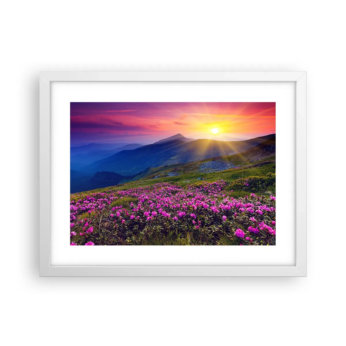 Poster in einem weißen Rahmen - … Und drumherum duftet es nach Latschenkiefer und dem Duft von Kräutern - 40x30 cm