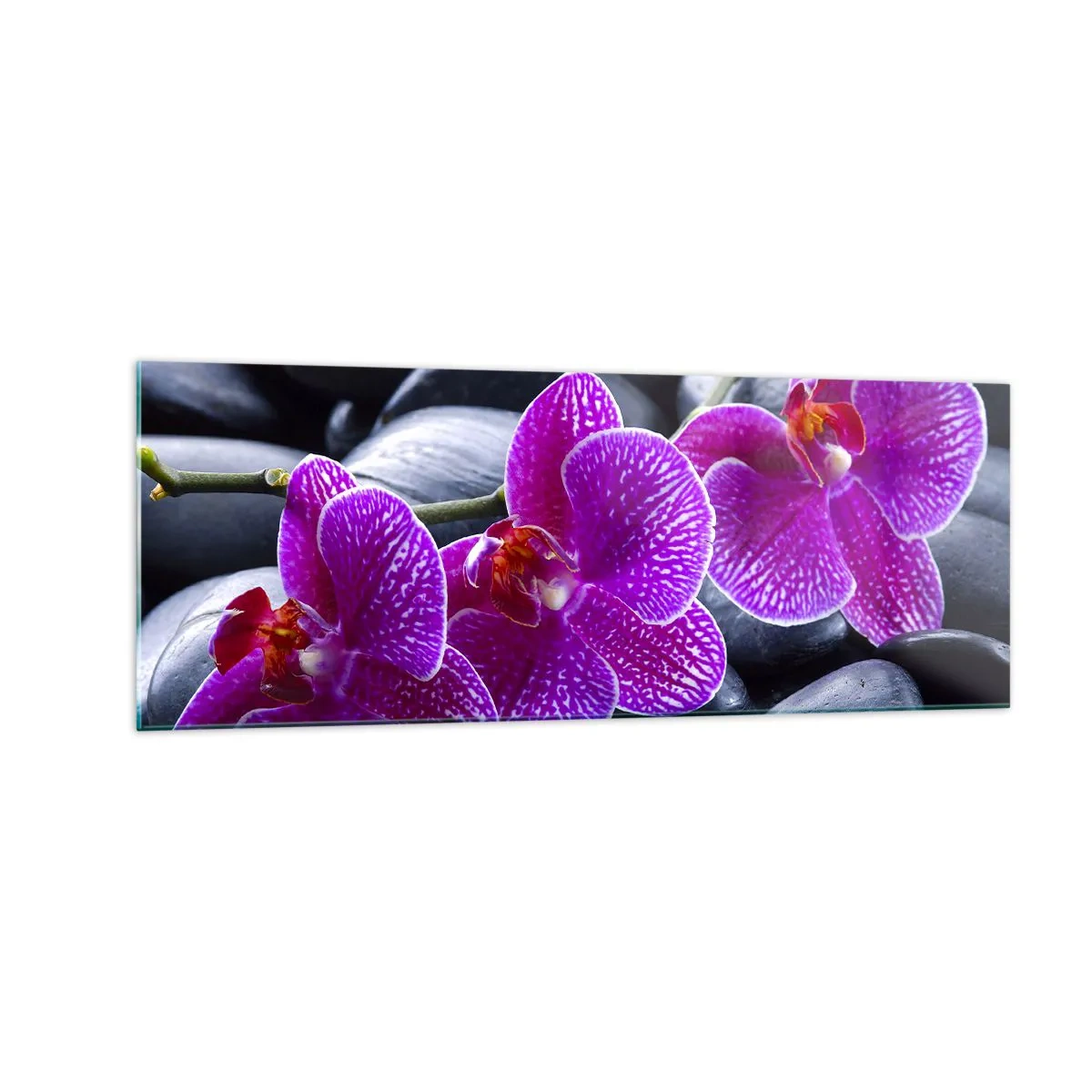 Glasbild - Bild auf glas - Lila Orchideen vor einem Hintergrund aus schwarzen Steinen - 140x50cm - Die Steine