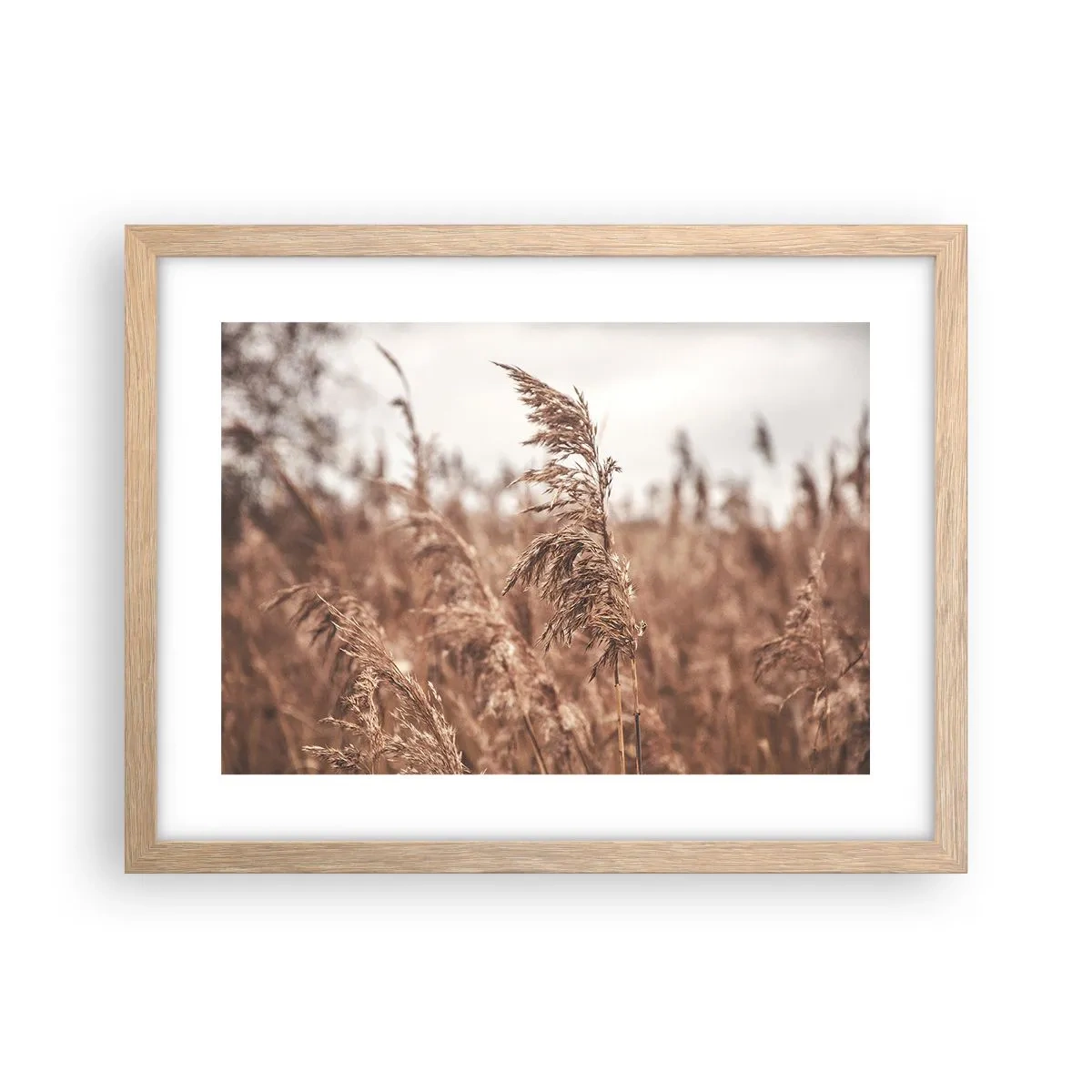 Poster in einem Rahmen aus heller Eiche - Auf den Feldern ist es schon Herbst - 40x30 cm