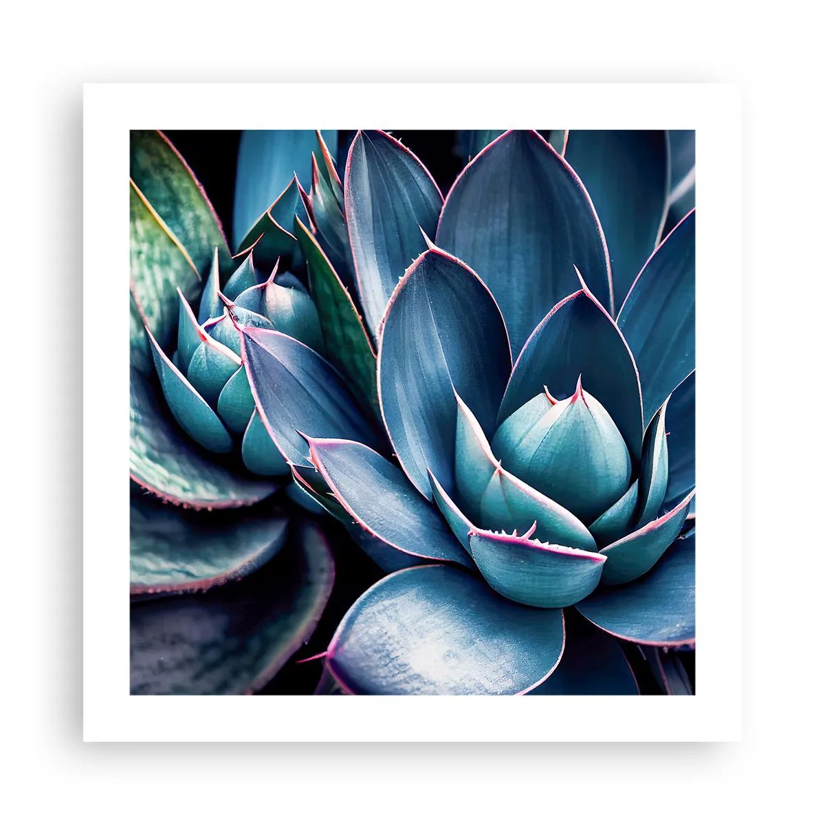 Poster - Lebenskraft - 50x50 cm