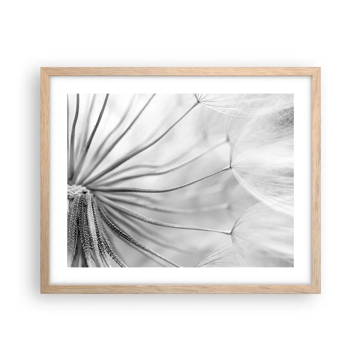 Poster in einem Rahmen aus heller Eiche - Löwenzahn, Drachen - 50x40 cm