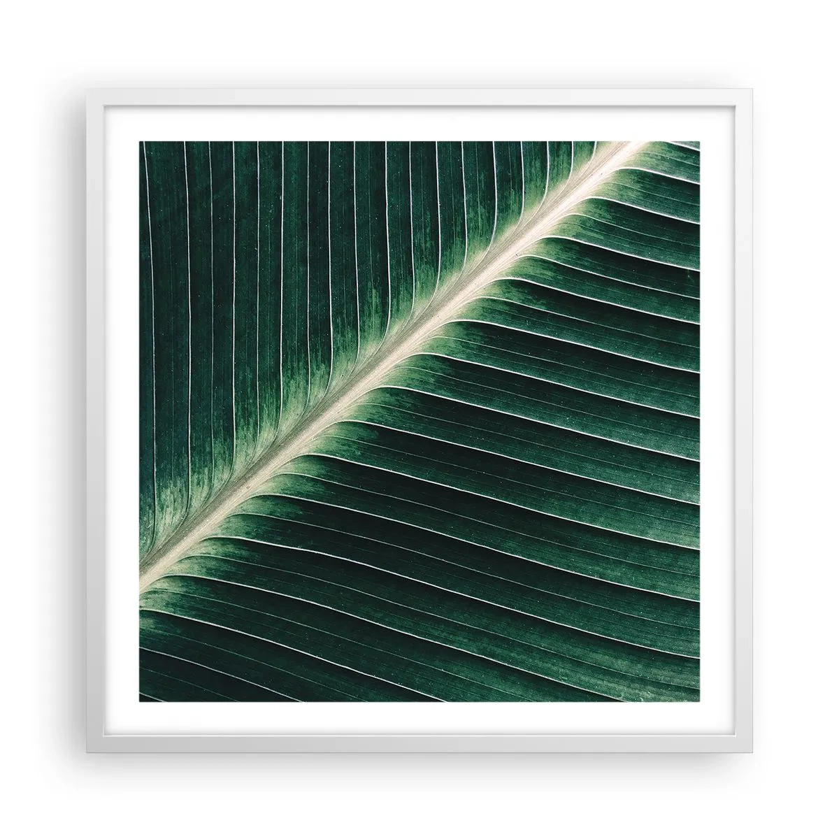 Poster in einem weißen Rahmen - Rhythmus der Natur - 60x60 cm