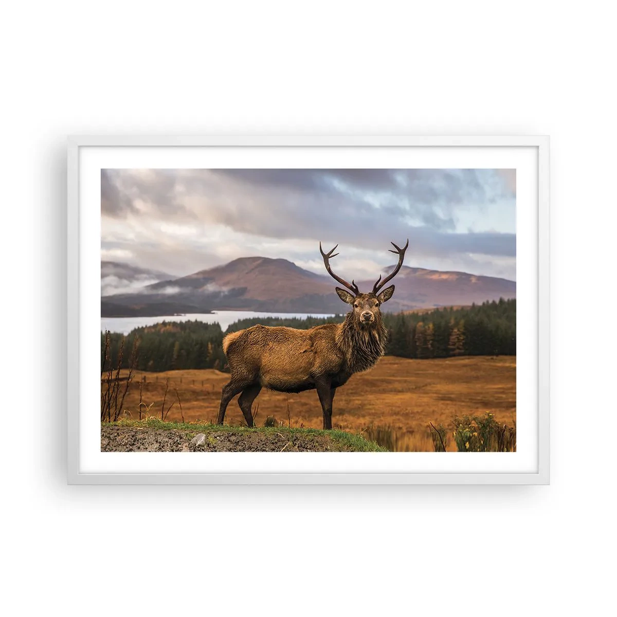 Poster in einem weißen Rahmen - Die Majestät der Natur - 70x50 cm