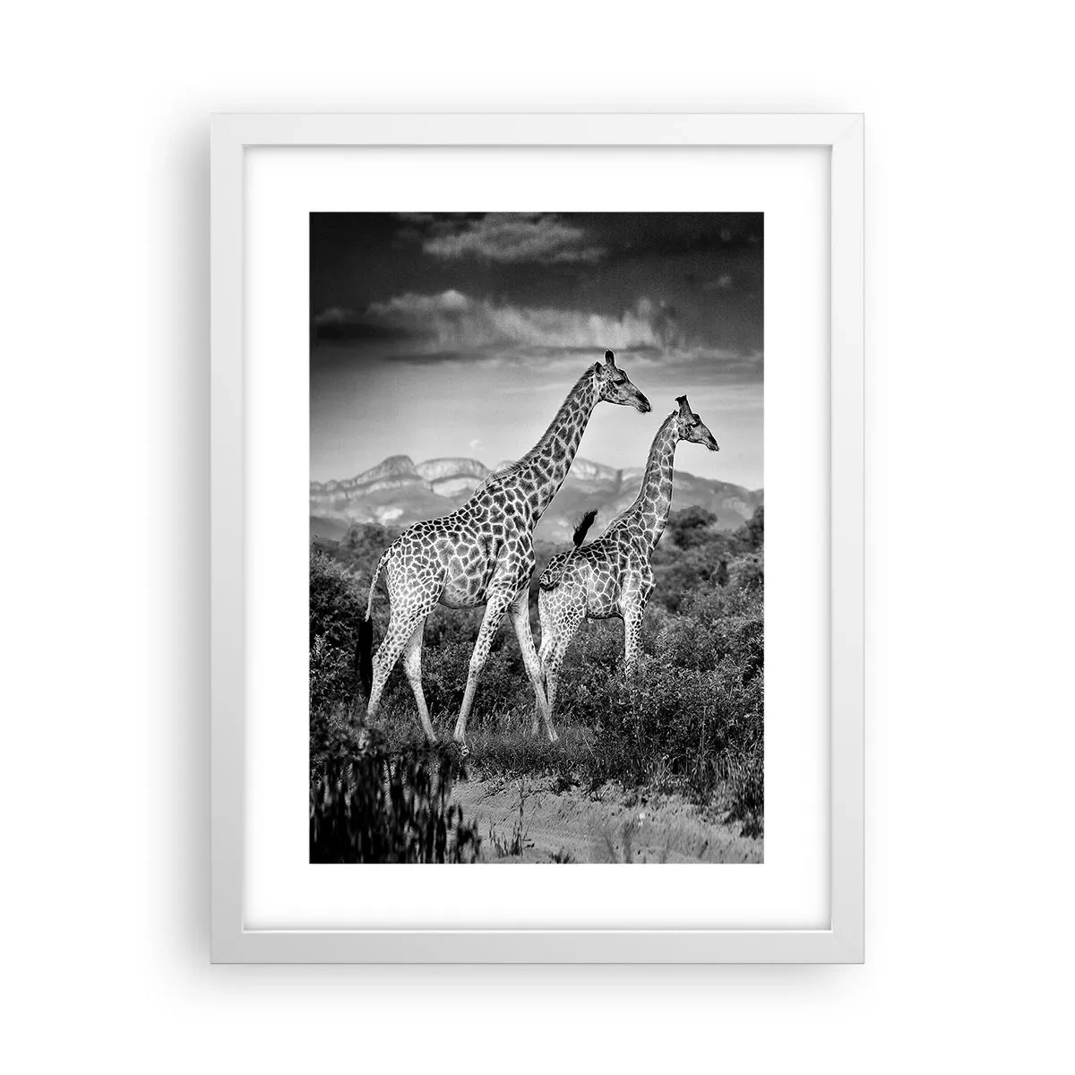 Poster in einem weißen Rahmen - Hohe Sphären in Afrika - 30x40 cm