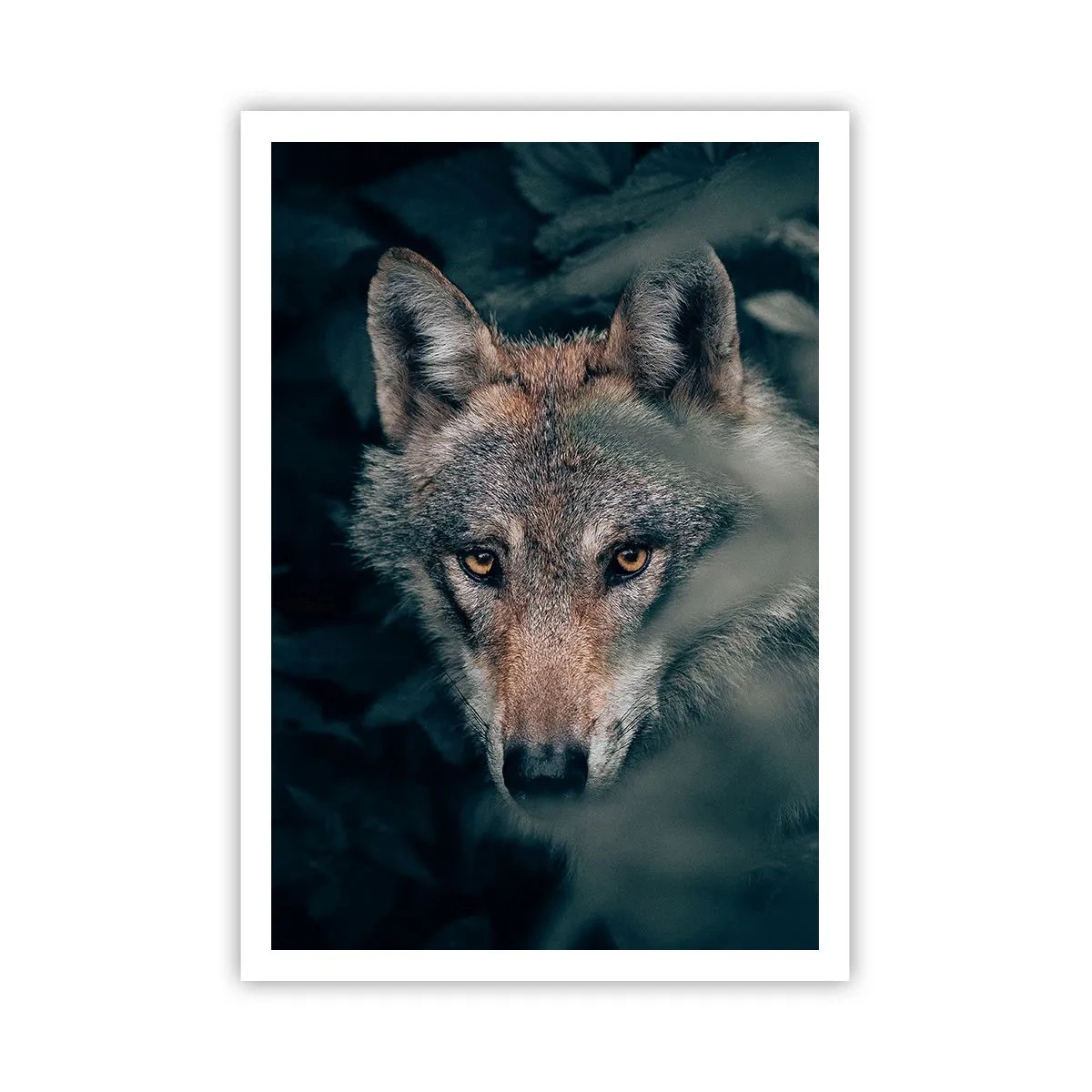 Poster - Jäger - 70x100 cm