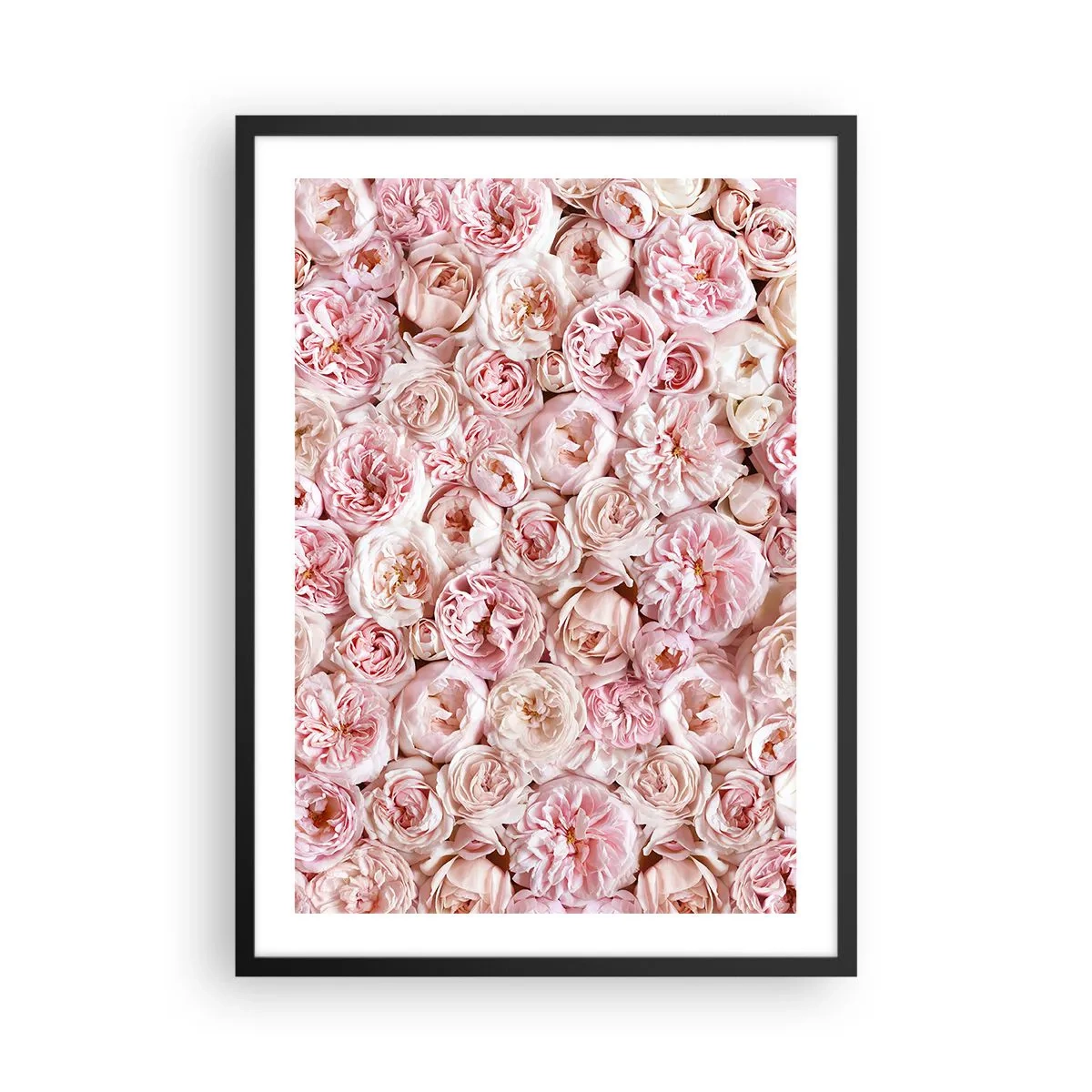 Poster in einem schwarzem Rahmen - Ein romantisches Arrangement aus rosa Blumen in Nahaufnahme - 50x70cm - Auf Rosen gebettet - Moderne Wanddekoration für Wohnzimmer und Schlafzimmer ARTTOR