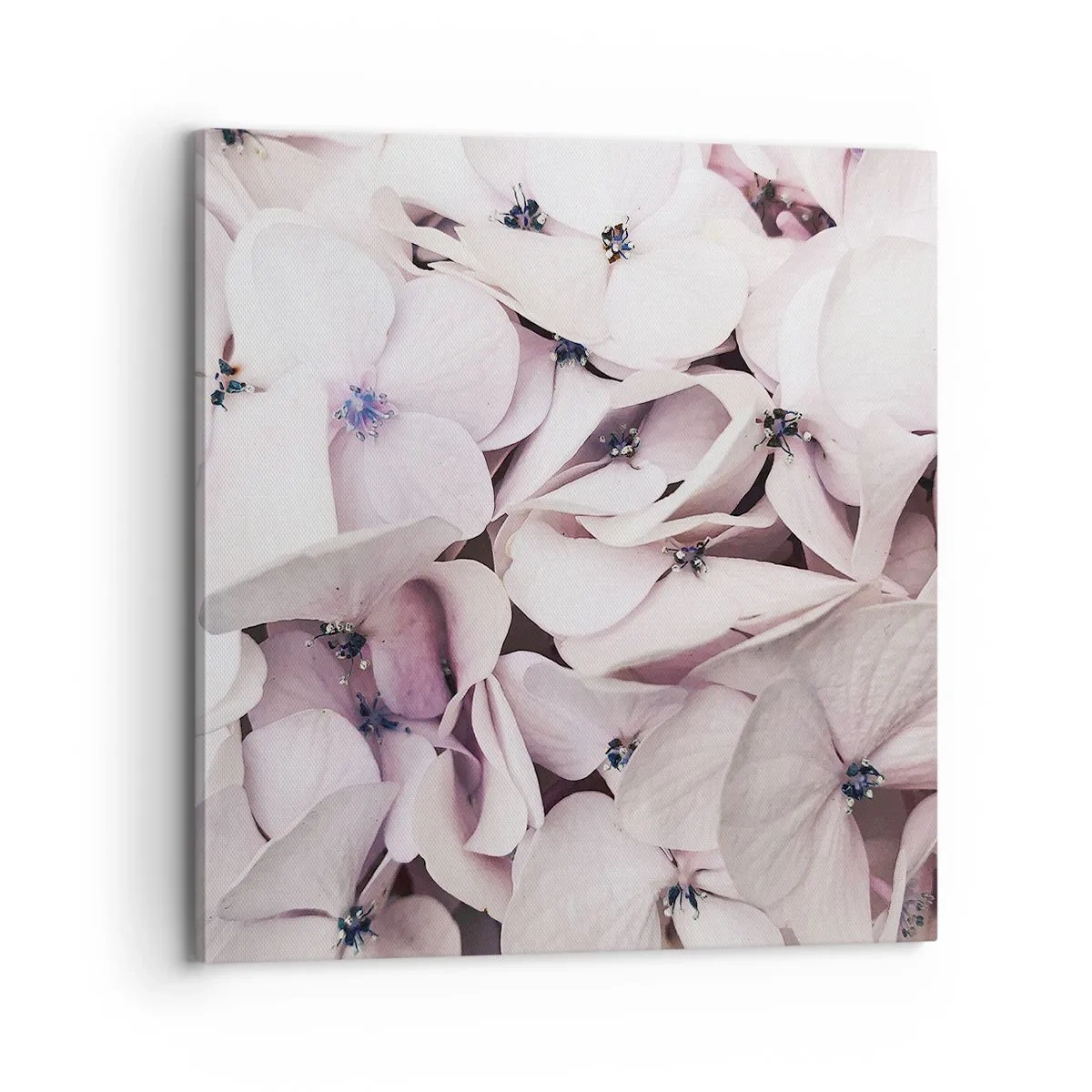 Bild auf Leinwand - Leinwandbild - In einer Blumenflut - 70x70 cm