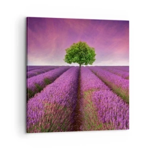 Bild auf Leinwand - Leinwandbild - Auf Lavendelfeldern - 60x60 cm
