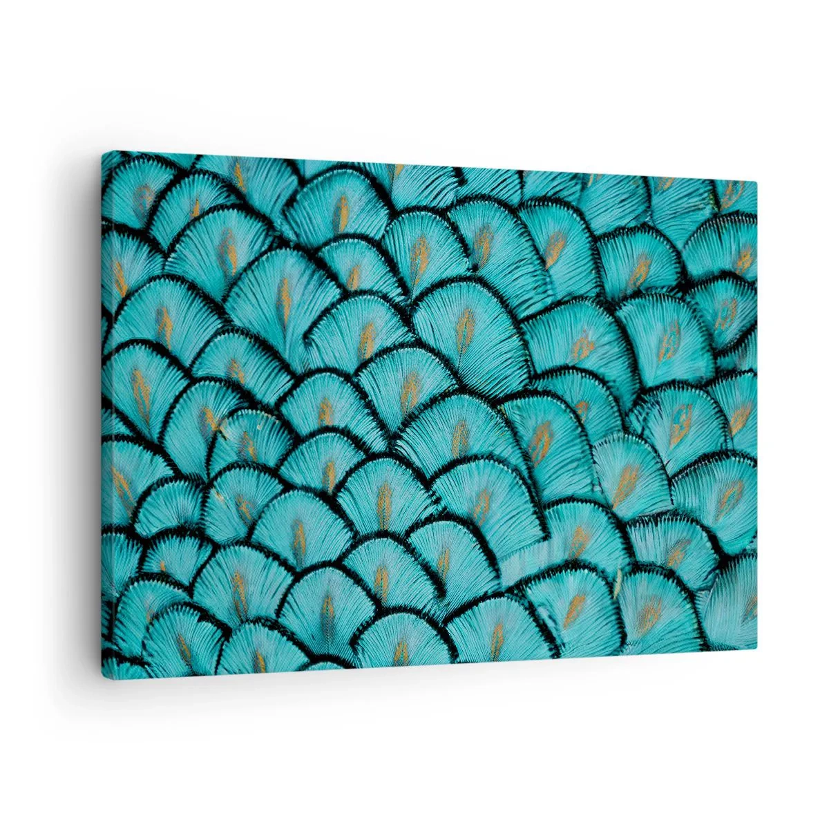 Bild auf Leinwand - Leinwandbild - Ein Muster, das türkisfarbenen Schuppen mit goldenen Akzenten ähnelt - 70x50cm - Große Federgala - Moderne Wanddekoration für Wohnzimmer und Schlafzimmer ARTTOR
