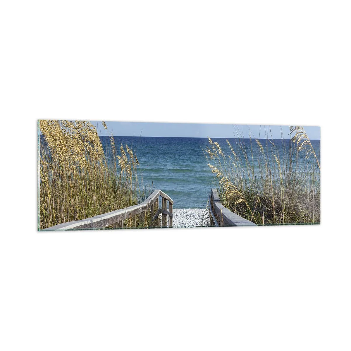 Glasbild - Bild auf glas - In der Sonne, im Wind - 90x30 cm