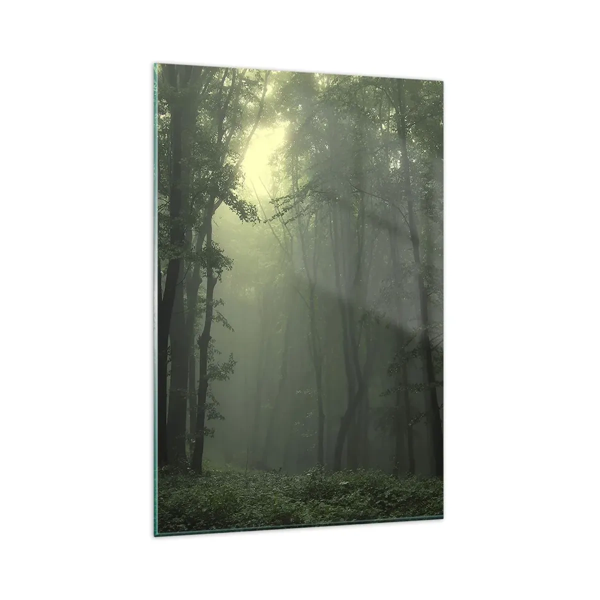 Glasbild - Bild auf glas - Ein grüner Wald am Morgen, eingehüllt in einen zarten Nebel - 80x120cm - Bevor er aufwacht - Moderne Wanddekoration für Wohnzimmer und Schlafzimmer ARTTOR