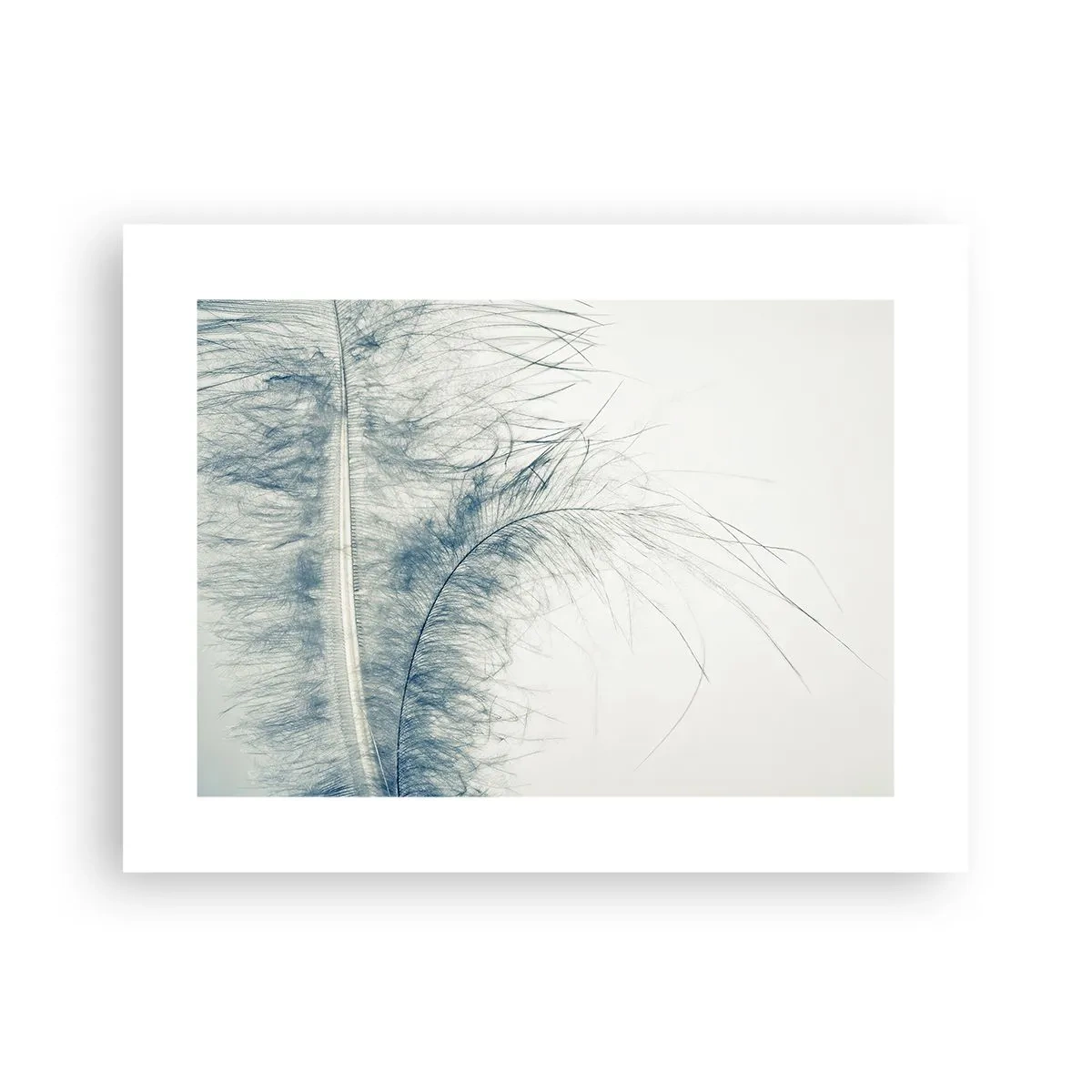 Poster - Flüstern der Natur - 40x30 cm