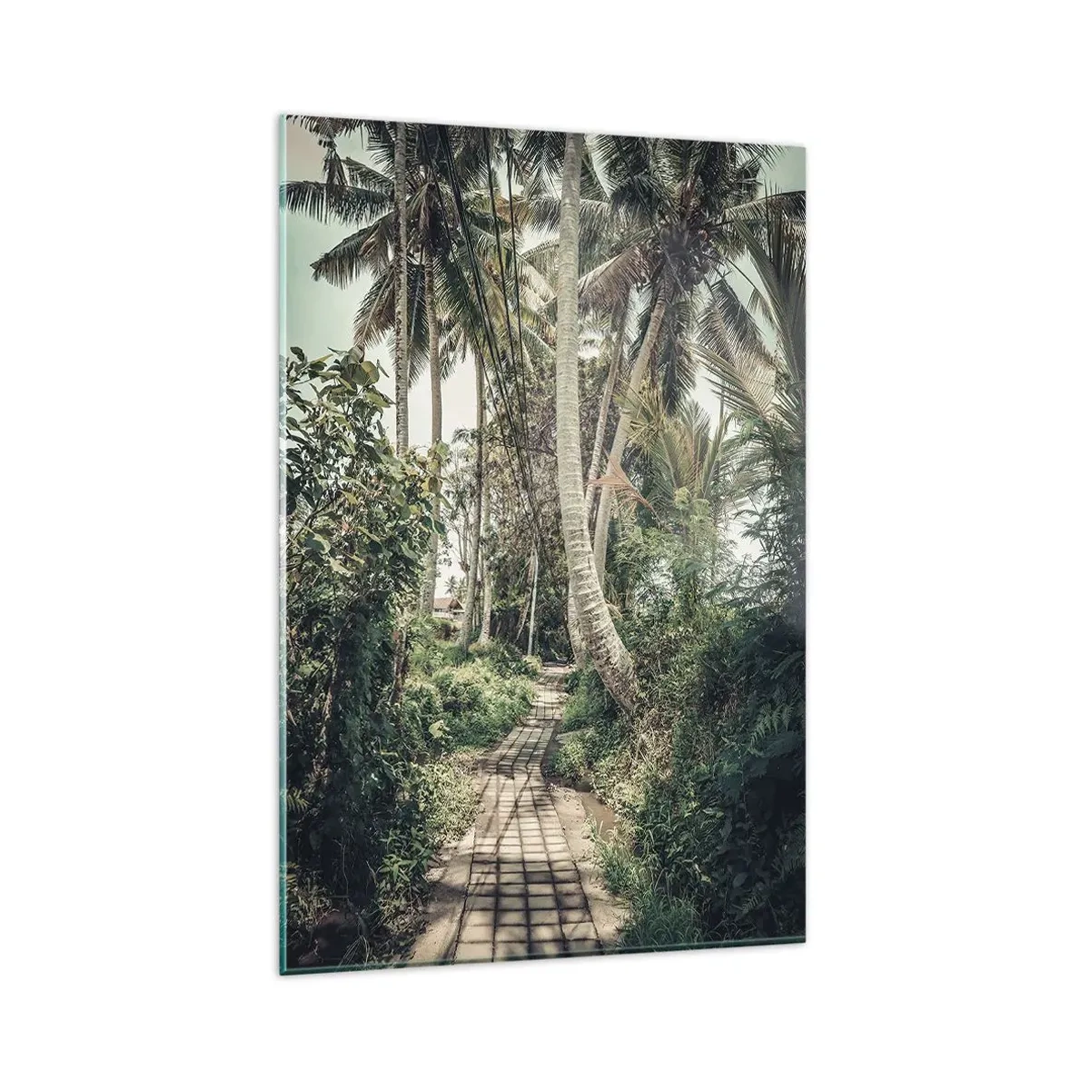 Glasbild - Bild auf glas - Palmenallee - 80x120 cm