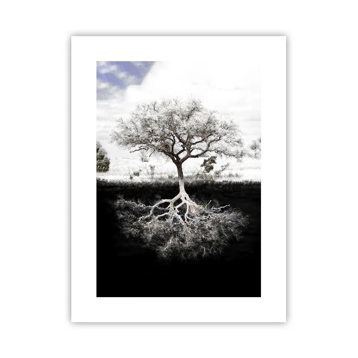 Poster - Die Natur der Welt entdecken - 30x40 cm
