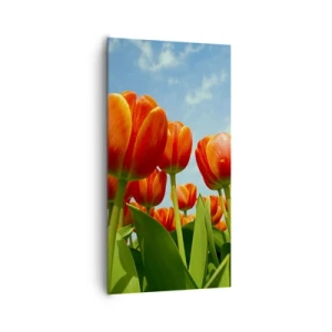 Bild auf Leinwand - Leinwandbild - Außer dem blauen Himmel brauchen sie nichts in ihrem Leben - 65x120 cm