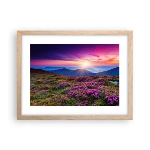 Poster in einem Rahmen aus heller Eiche - Kräuter dufteten nach frischen Trauben von den Feldern - 40x30 cm