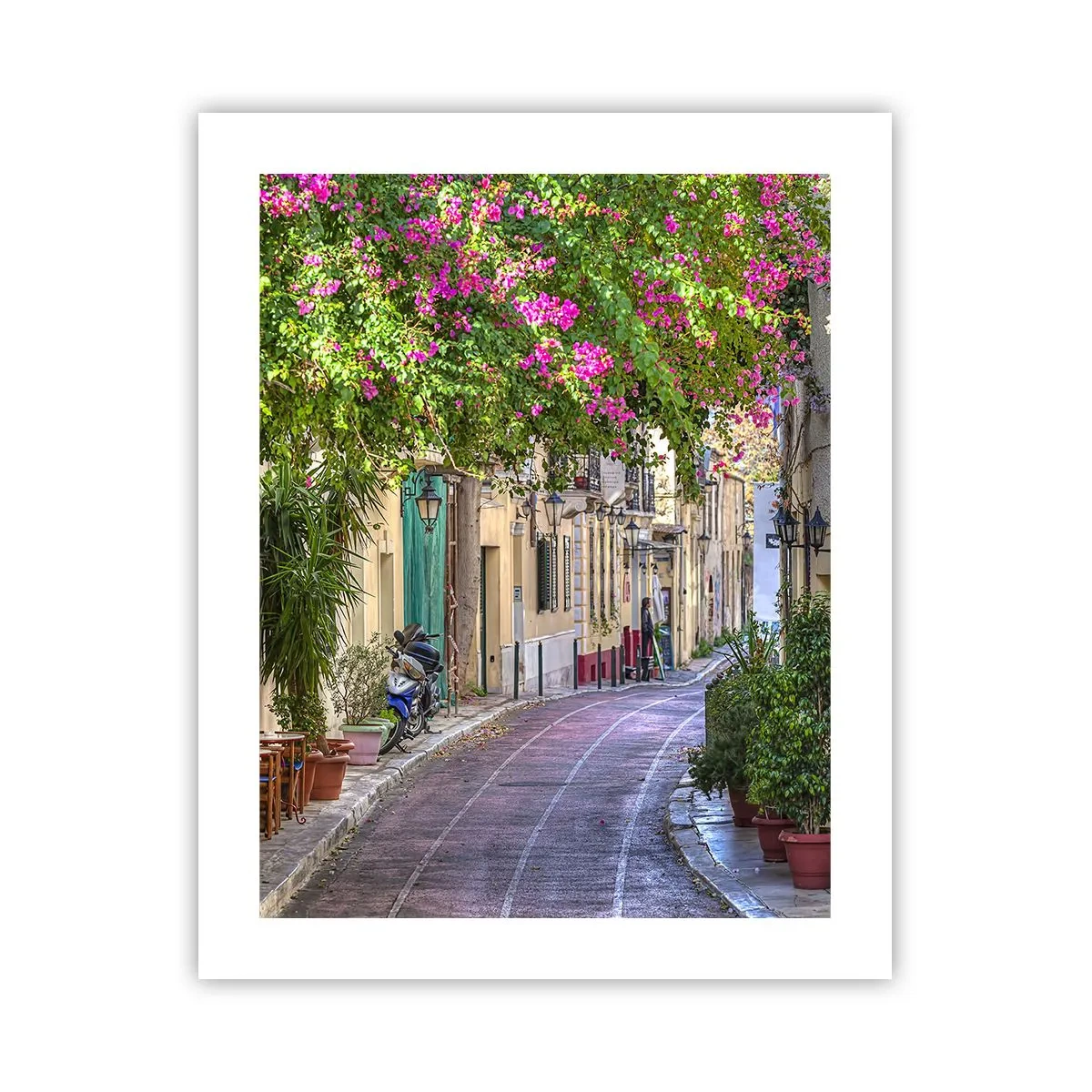 Poster - Blühende Gasse - 40x50 cm