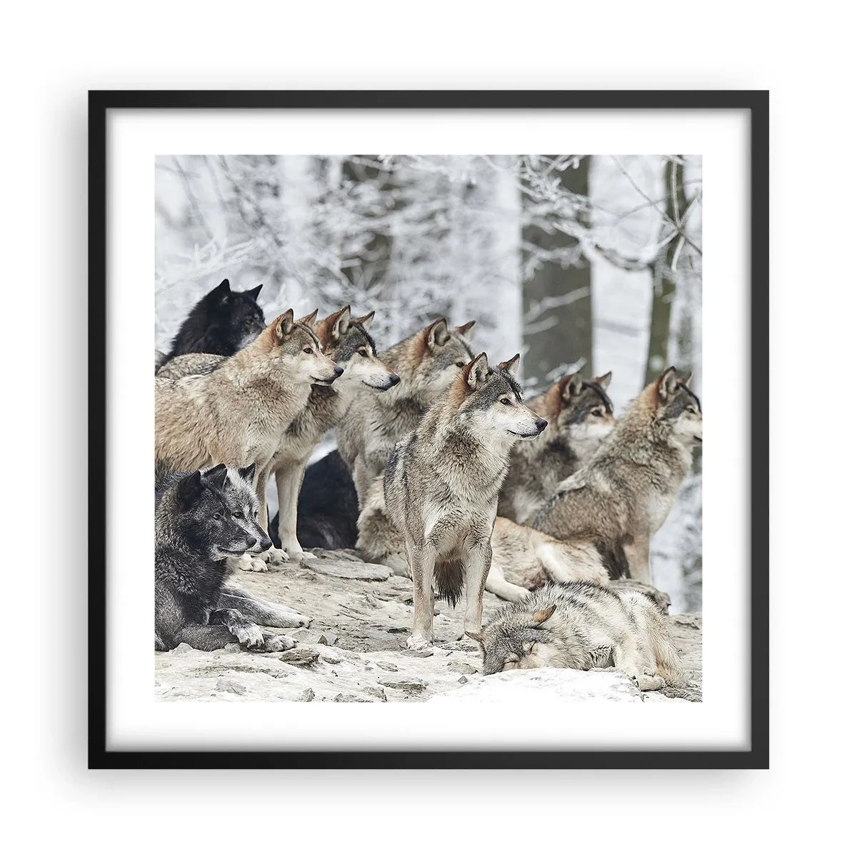 Poster in einem schwarzem Rahmen - Familie und Freunde - 50x50 cm