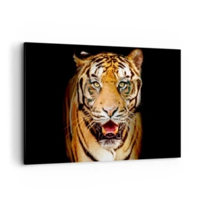 Bild auf Leinwand - Leinwandbild - Ein Tiger mit offenem Maul auf schwarzem Hintergrund - 120x80cm - Wild im Herzen - Moderne Wanddekoration für Wohnzimmer und Schlafzimmer ARTTOR