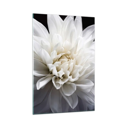 Glasbild - Bild auf glas - Eine zarte weiße Blume auf schwarzem Hintergrund in einer eleganten Komposition - 80x120cm - Der Morgen der Braut - Moderne Wanddekoration für Wohnzimmer und Schlafzimmer ARTTOR