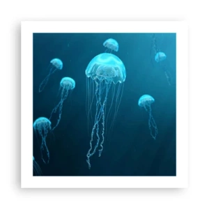 Poster - Ozeantanz - 50x50 cm