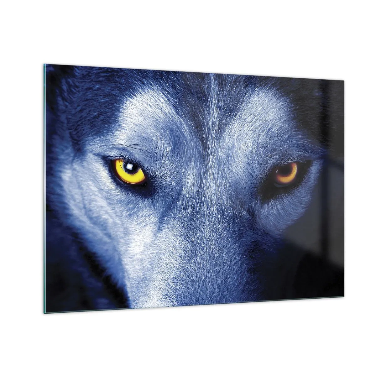 Glasbild - Bild auf glas - Der faszinierende Blick eines Wolfes - 100x70cm - Faszinierender Blick - Moderne Wanddekoration für Wohnzimmer und Schlafzimmer ARTTOR