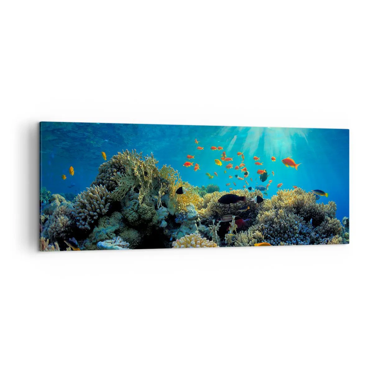 Bild auf Leinwand - Leinwandbild - Korallenriff mit Fischen in den Sonnenstrahlen unter Wasser - 140x50cm - Unterwasserschätze - Moderne Wanddekoration für Wohnzimmer und Schlafzimmer ARTTOR