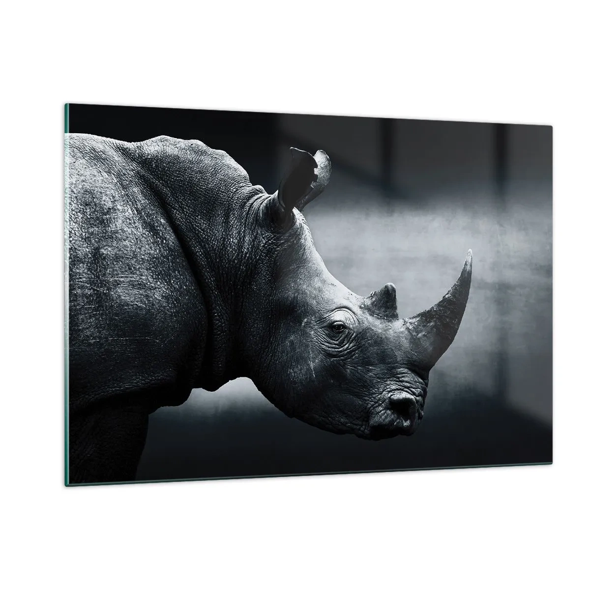 Glasbild - Bild auf glas - Schwarz-Weiß-Aufnahme eines Nashorns - 120x80cm - Richtiges Profil - Moderne Wanddekoration für Wohnzimmer und Schlafzimmer ARTTOR