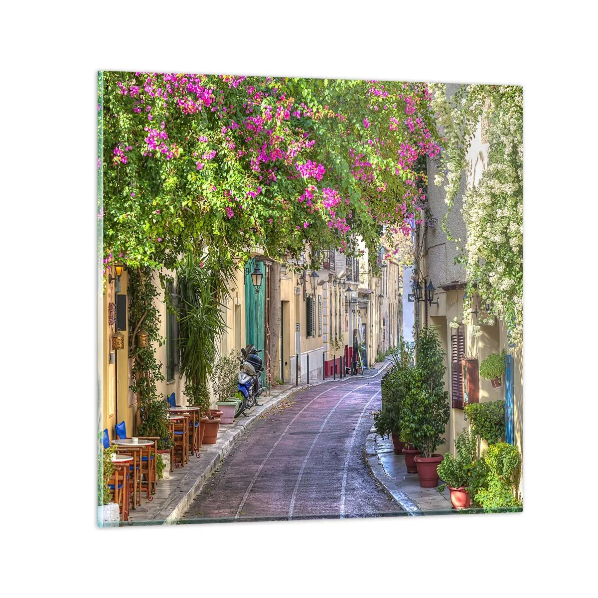 Glasbild - Bild auf glas - Blühende Gasse - 60x60 cm