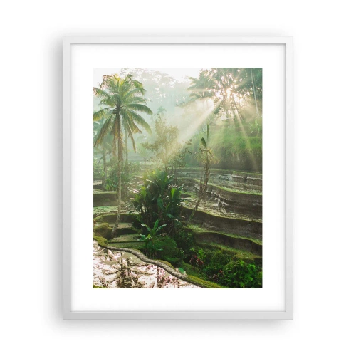 Poster in einem weißen Rahmen - In der Sonne aufwachsen - 40x50 cm