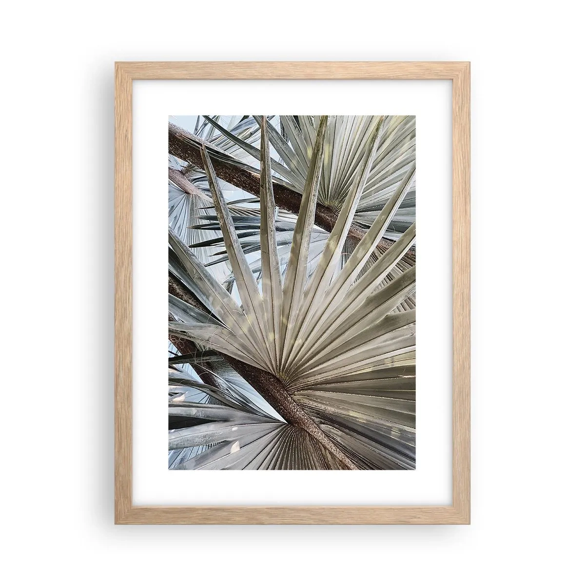 Poster in einem Rahmen aus heller Eiche - Fans in den Tropen - 30x40 cm