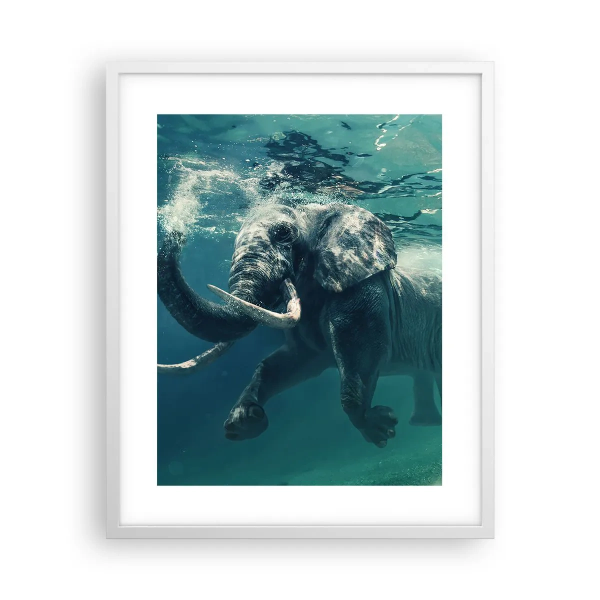 Poster in einem weißen Rahmen - Jeder schwimmt gerne - 40x50 cm