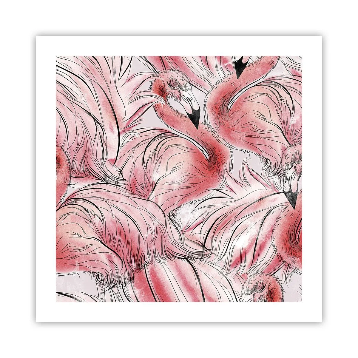 Poster - Bird Corps de Ballet - 50x50 cm