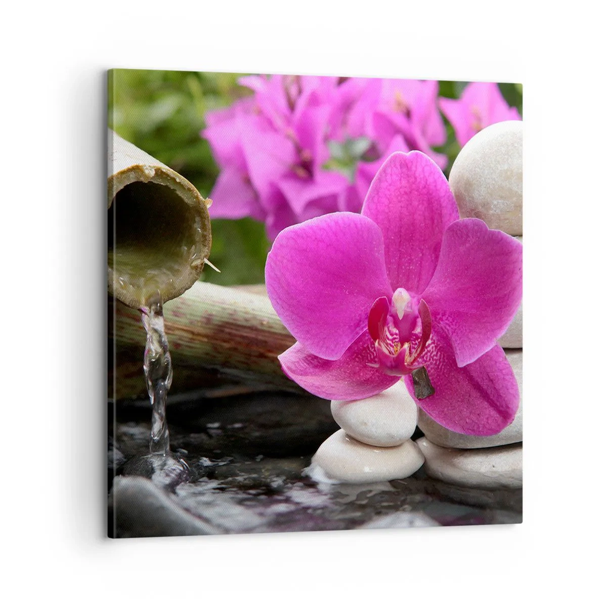 Bild auf Leinwand - Leinwandbild - Du ruhst dich schon aus - 60x60 cm