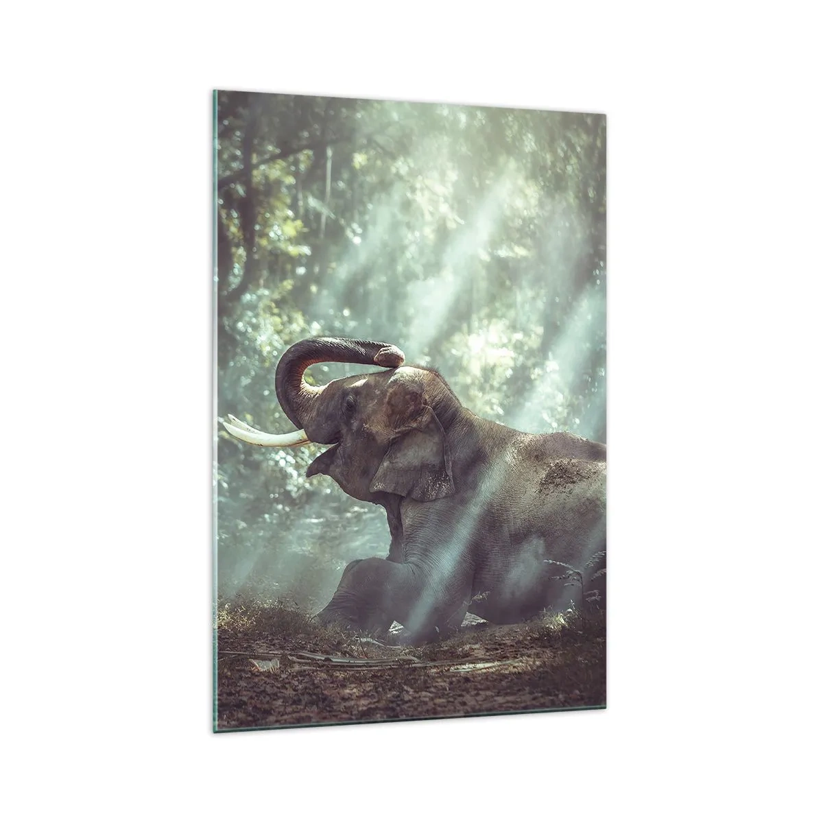 Glasbild - Bild auf glas - Ein Junge und ein Elefant in einer sonnenbeschienenen Waldlandschaft - 70x100cm - Und hör dir das an... - Moderne Wanddekoration für Wohnzimmer und Schlafzimmer ARTTOR