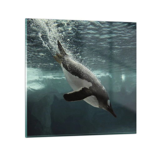 Glasbild - Bild auf glas - Willkommen in meiner Welt - 70x70 cm