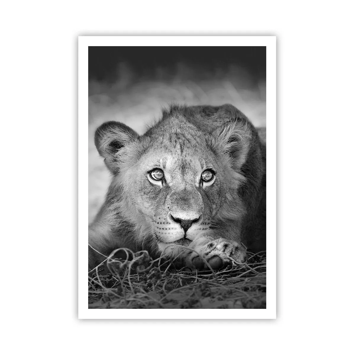 Poster - Königlicher Welpe - 70x100 cm