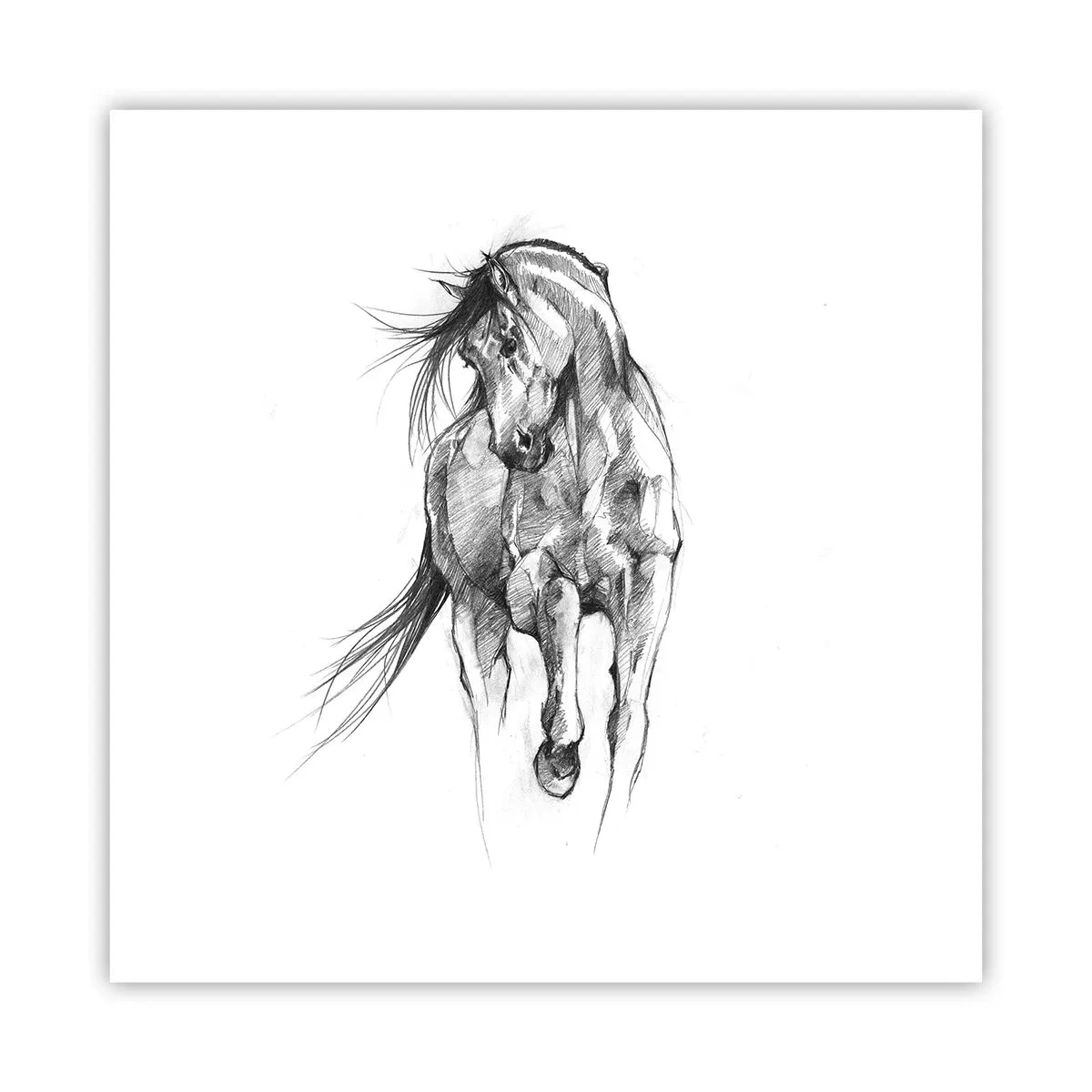 Poster - Im anmutigen Trab - 40x40 cm