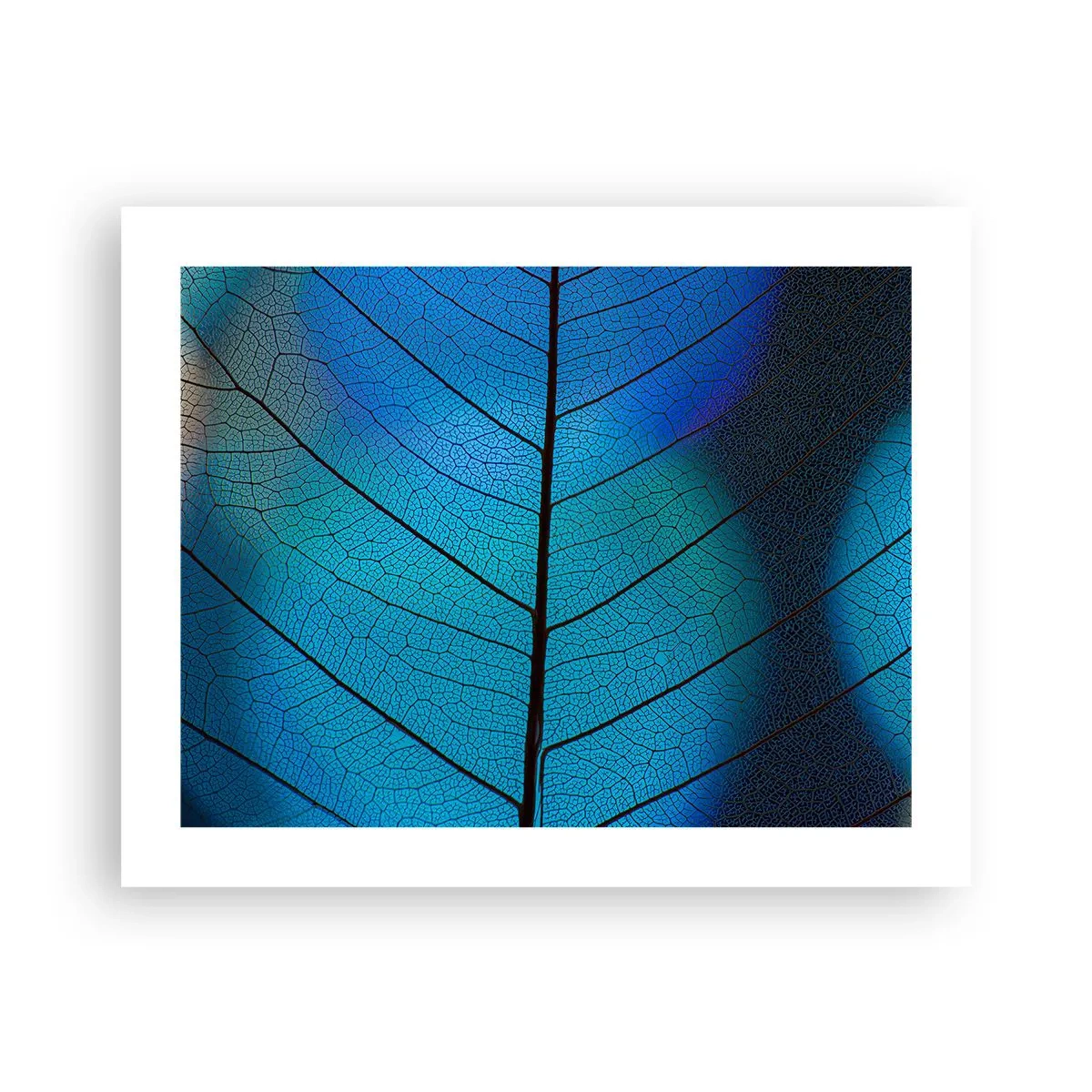 Poster - Komplizierte Konstruktion - 50x40 cm