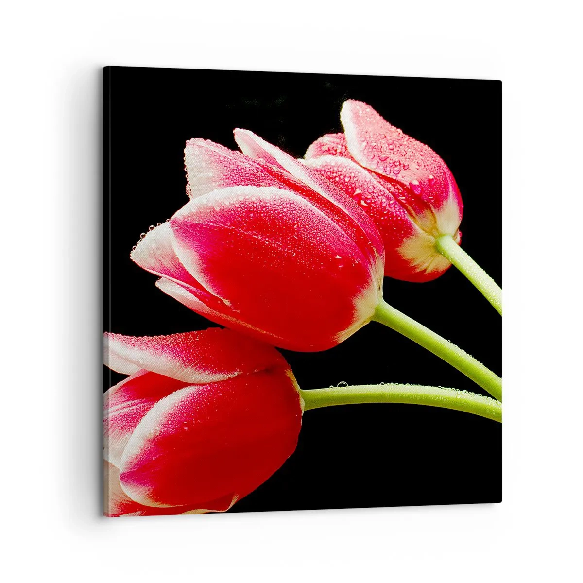 Bild auf Leinwand - Leinwandbild - Ein Versprechen der reinen Liebe - 60x60 cm