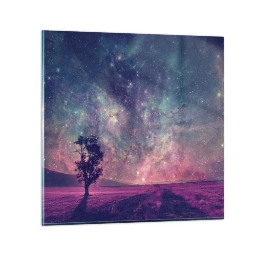 Glasbild - Bild auf glas - Unter dem magischen Himmel - 60x60 cm