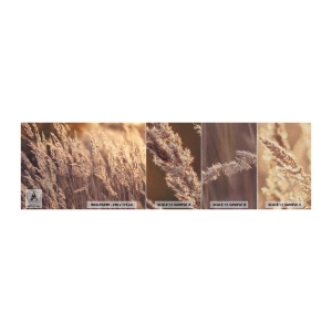 Fototapeten Muster Premium Sand - Bereit, den Herbst willkommen zu heißen - Landschaft, Ähren, Wiese - 100x30 cm