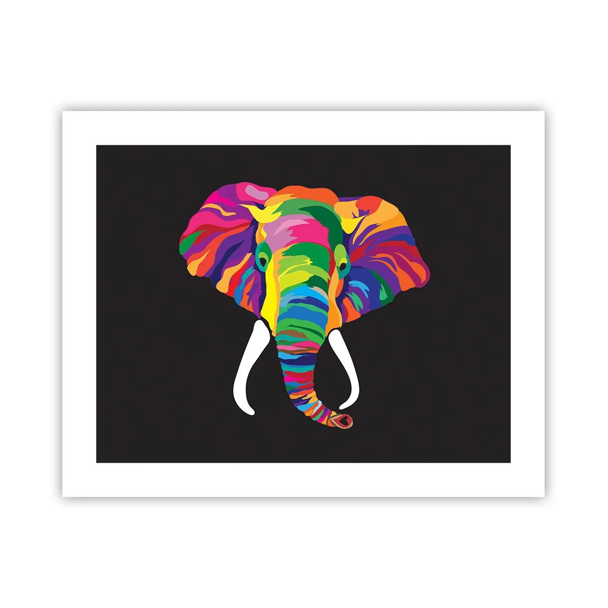 Poster - Der Elefant, der es liebte, im Regenbogen zu baden - 50x40 cm