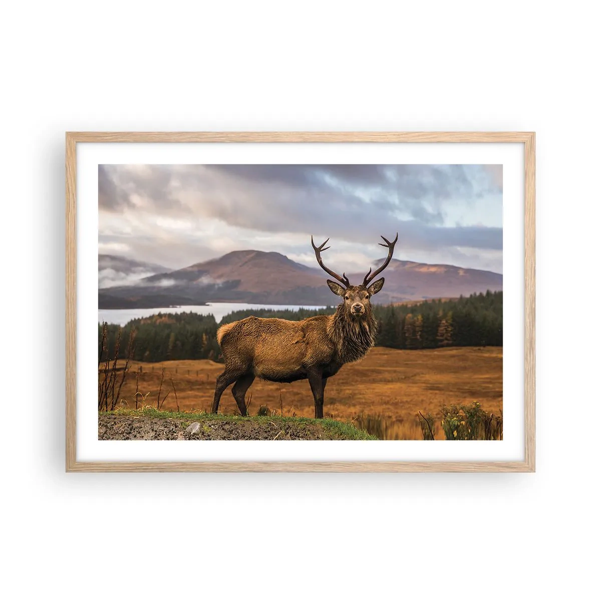 Poster in einem Rahmen aus heller Eiche - Die Majestät der Natur - 70x50 cm