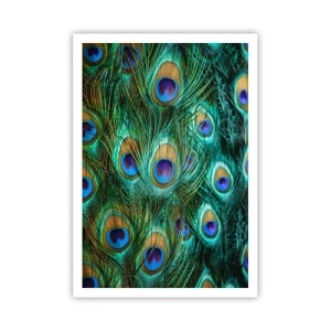 Poster - Ein Blick mit Pfauenaugen - 70x100 cm