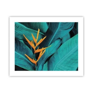 Poster - Eden-Blume - 50x40 cm