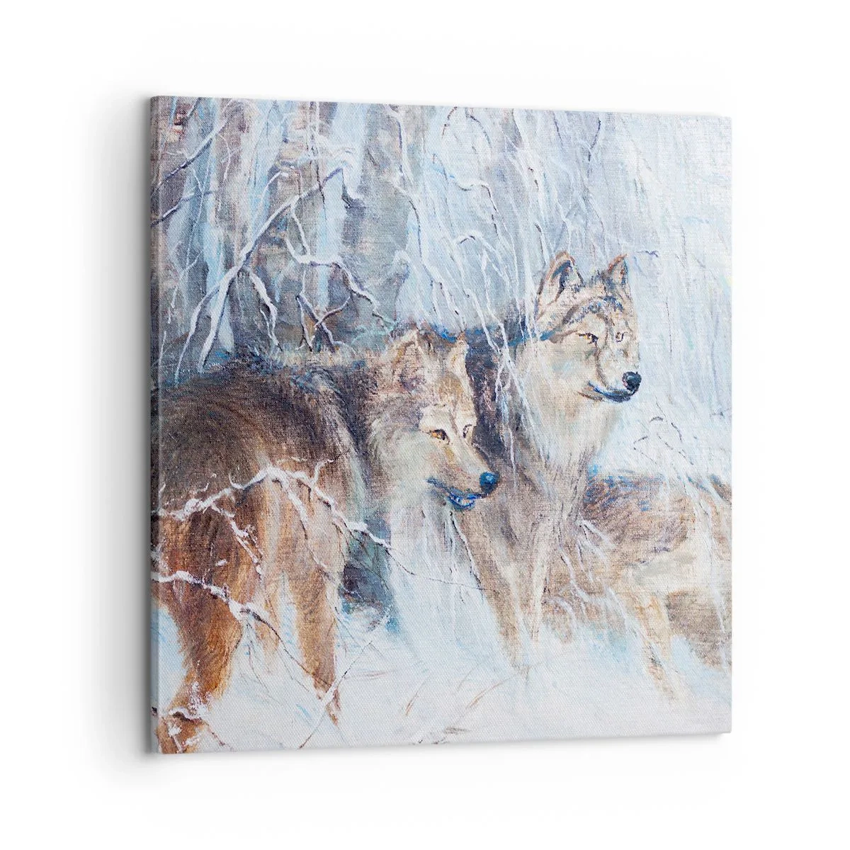 Bild auf Leinwand - Leinwandbild - Beachtung! Hier kommt ... - 60x60 cm