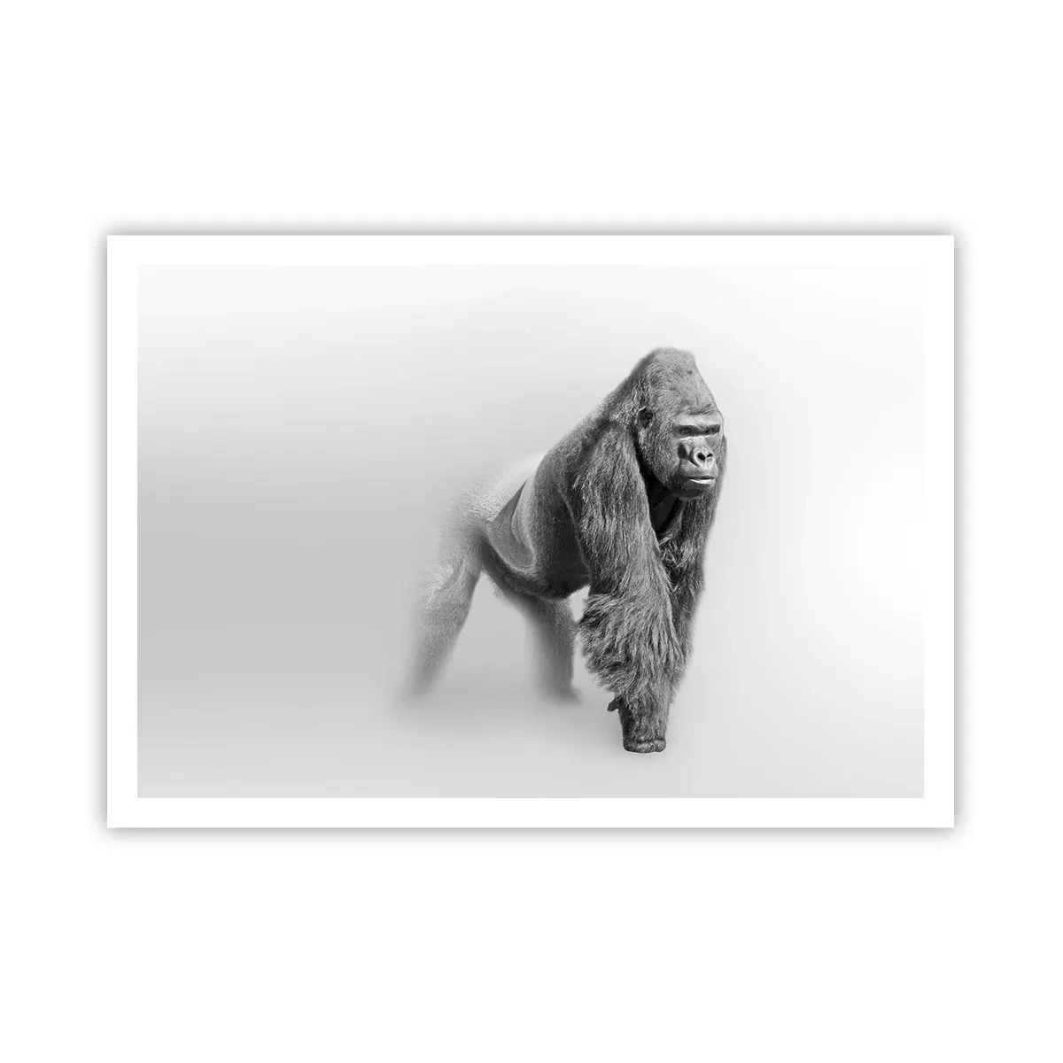 Poster - Gorilla in monochromen Tönen auf weißem Hintergrund - 100x70cm - Zuversichtlich in seiner Stärke - Moderne Wanddekoration für Wohnzimmer und Schlafzimmer ARTTOR