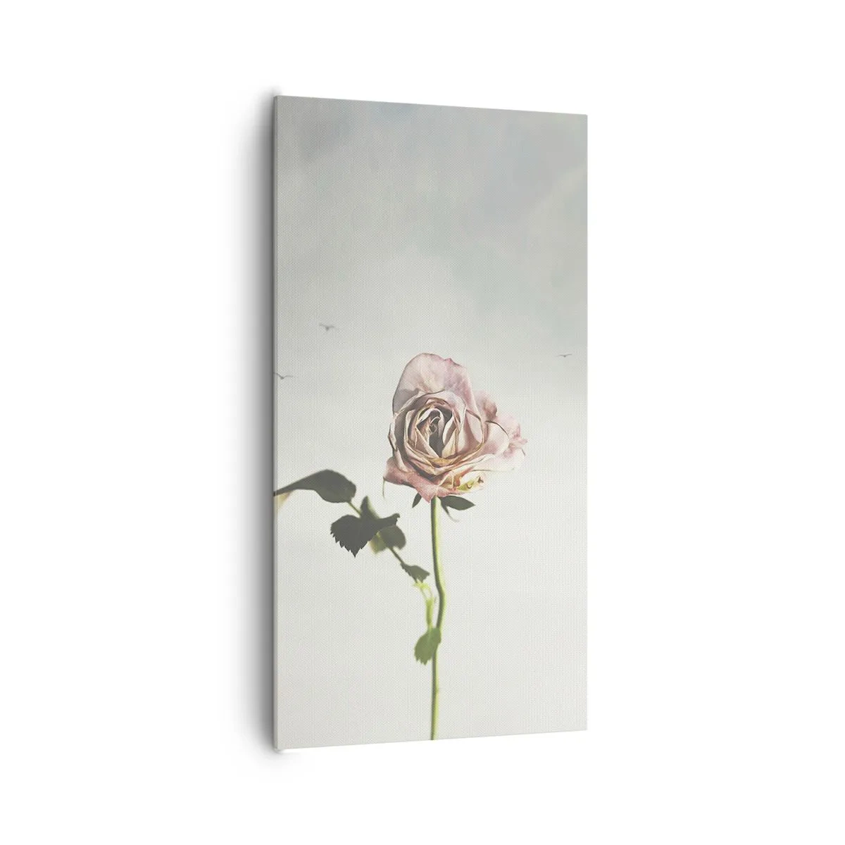 Bild auf Leinwand - Leinwandbild - Begrüßung des Frühlings - 65x120 cm